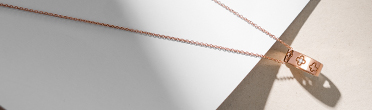 Banner Piero 2